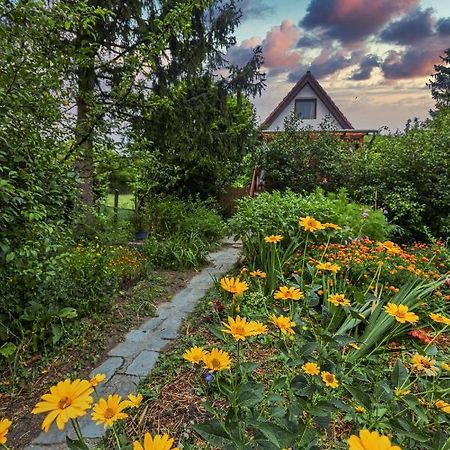 Ferienwohnung Fanima Vendeghaz Verőcemaros Exterior foto