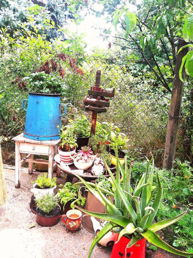 Ferienwohnung Fanima Vendeghaz Verőcemaros Exterior foto